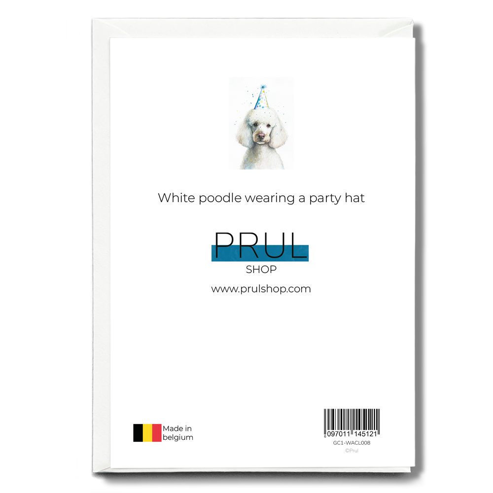 White poodle wearing a party hat - Greeting Card
