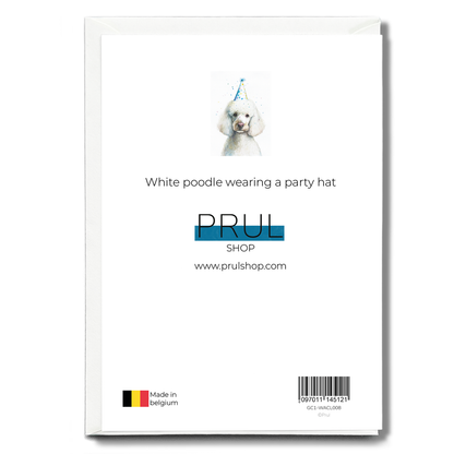 White poodle wearing a party hat - Greeting Card