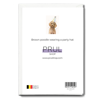 Brown poodle wearing a party hat - Greeting Card
