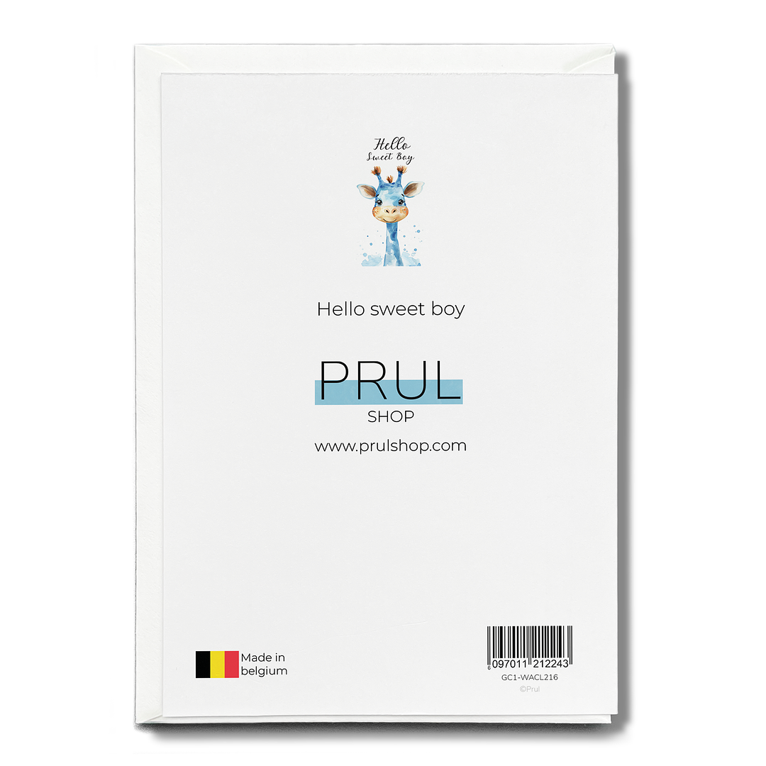 Hello sweet boy - Greeting Card