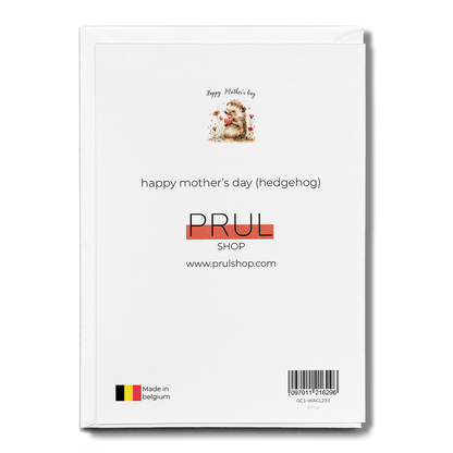 happy mother's day (hedgehog) - Greeting Card