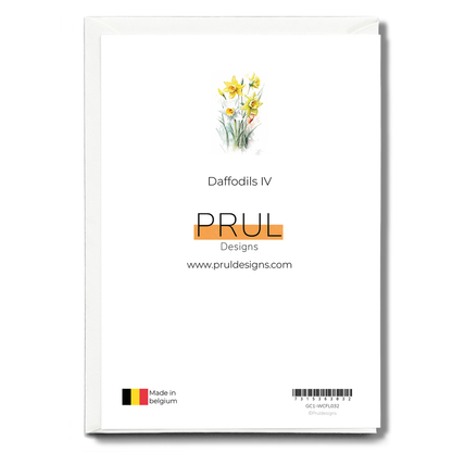 Daffodils IV - Wenskaart