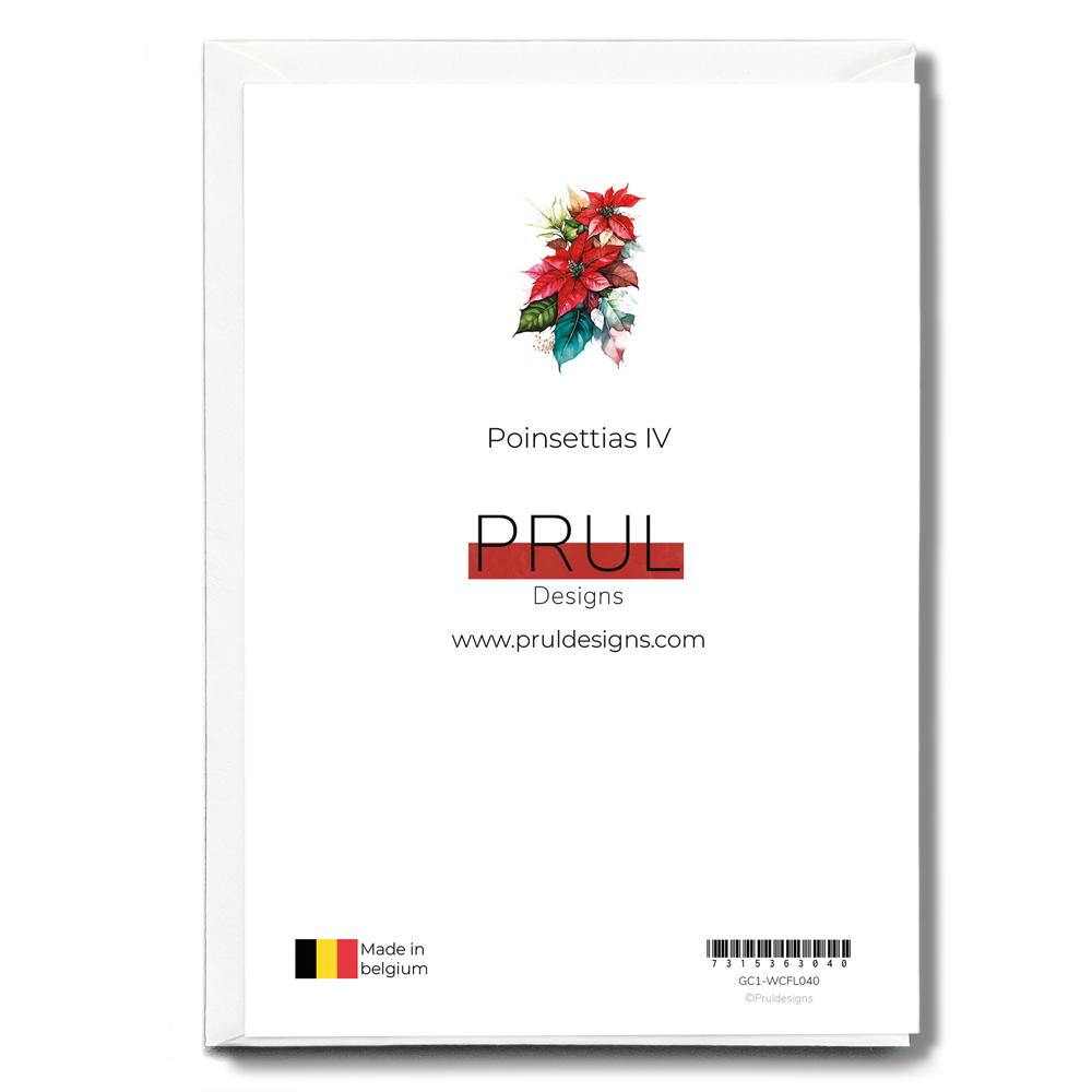 Poinsettias IV - Wenskaart