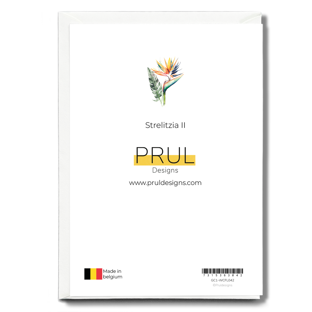 Strelitzia II - Wenskaart