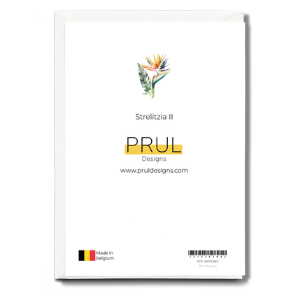 Strelitzia II - Wenskaart