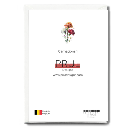 Carnations 1 - Wenskaart