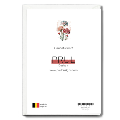 Carnations 2 - Wenskaart