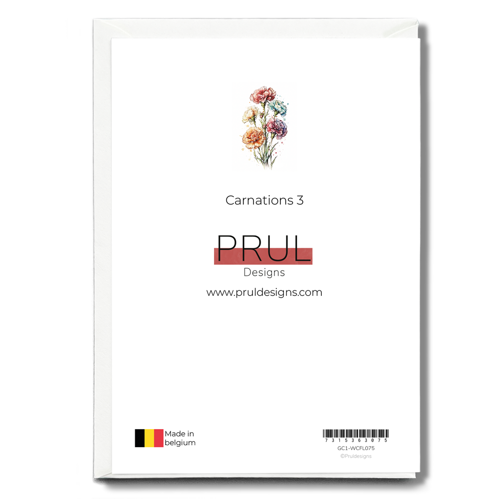 Carnations 3 - Wenskaart