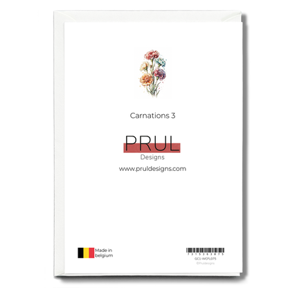 Carnations 3 - Wenskaart