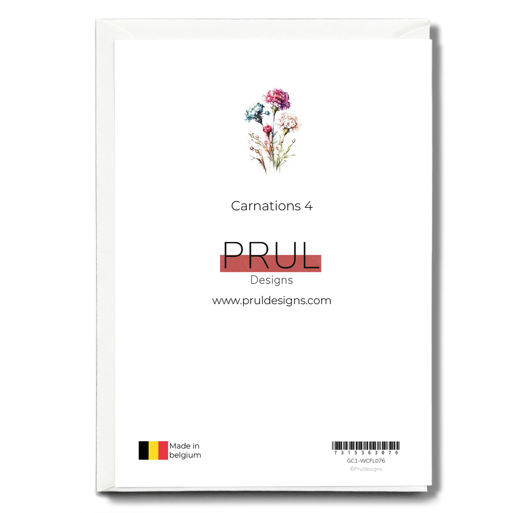 Carnations 4 - Wenskaart