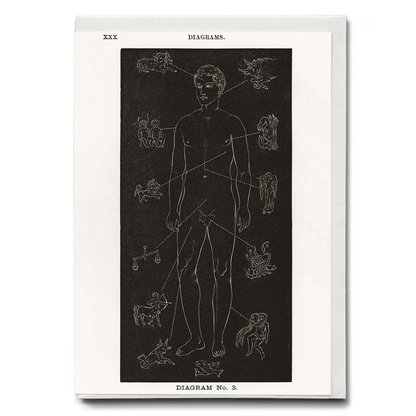 Diagram no.3 Solar Biology By Hiram Erastus Butler - Greeting Card