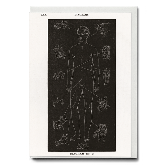 Diagram no.3 Solar Biology By Hiram Erastus Butler - Greeting Card