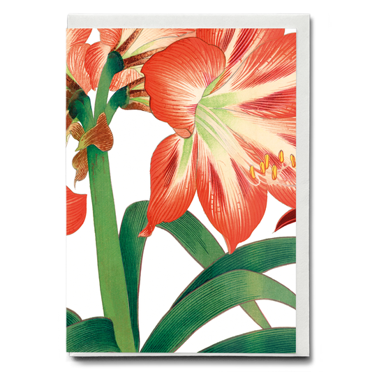 Amaryllis flower By Tanigami Kônan - Wenskaart