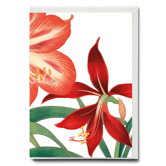 Amaryllis By Tanigami Kônan - Wenskaart