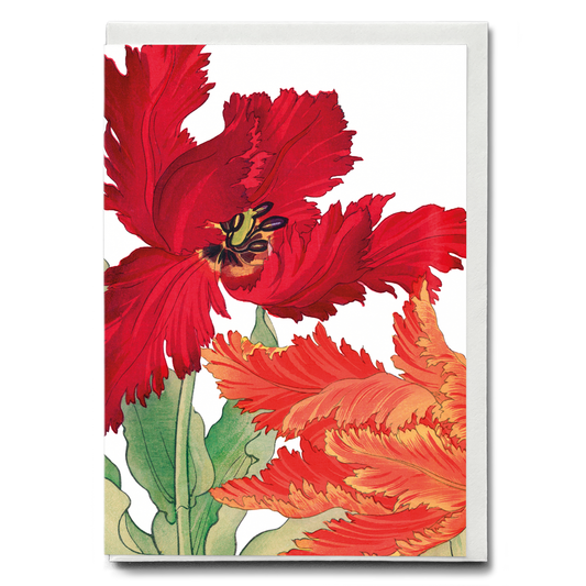Parrot Tulip By Tanigami Kônan - Wenskaart