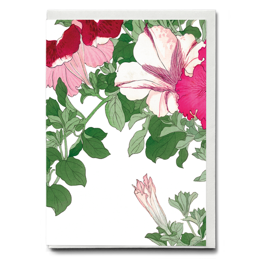 Petunia flower By Tanigami Kônan - Wenskaart