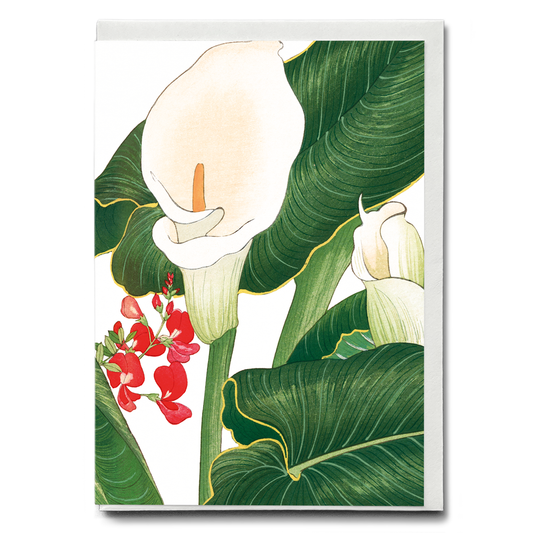 Calla Lily By Tanigami Kônan - Wenskaart
