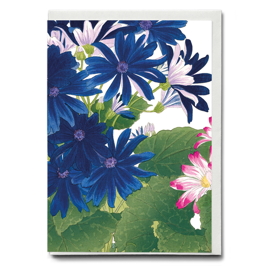 Blue Cineraria By Tanigami Kônan - Wenskaart