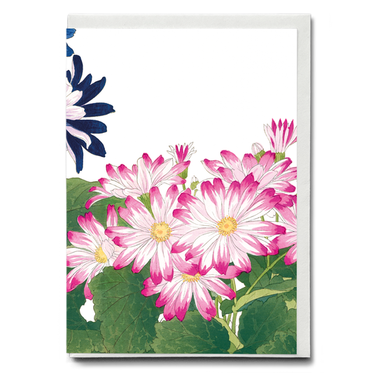 Pink Cineraria By Tanigami Kônan - Wenskaart
