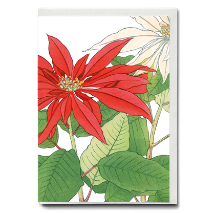 Poinsettia By Tanigami Kônan - Wenskaart