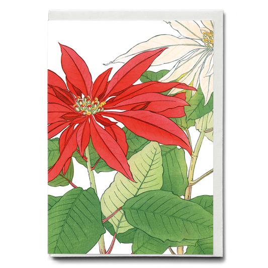Poinsettia By Tanigami Kônan - Wenskaart