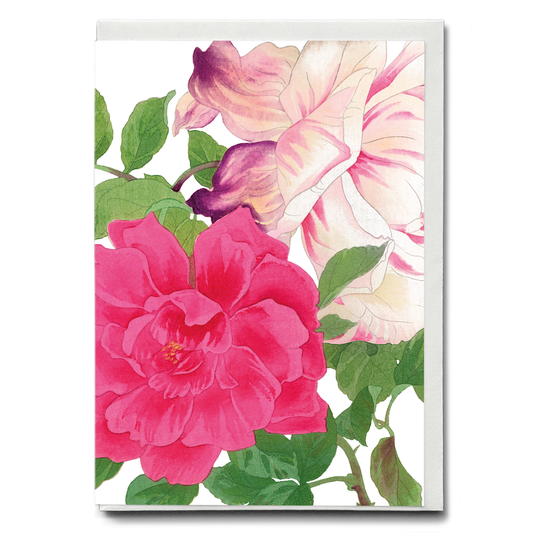 Pink Roses By Tanigami Kônan - Wenskaart