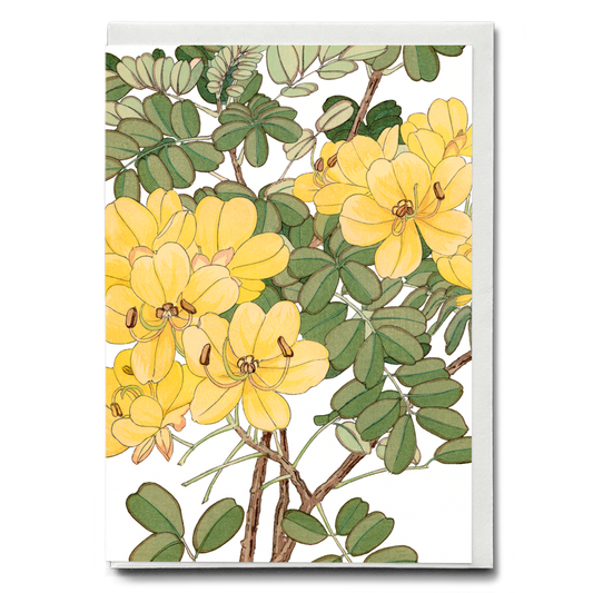 Allamanda By Tanigami Kônan - Wenskaart