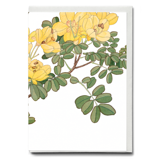 Allamanda Flower By Tanigami Kônan - Wenskaart