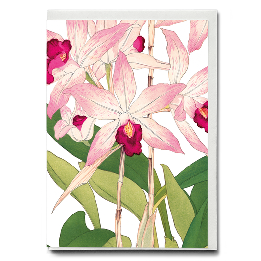 Orchid By Tanigami Kônan - Wenskaart