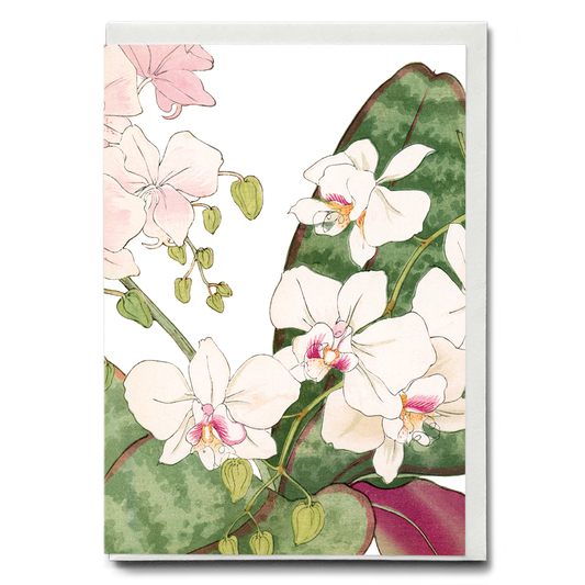 Orchids flower By Tanigami Kônan - Wenskaart
