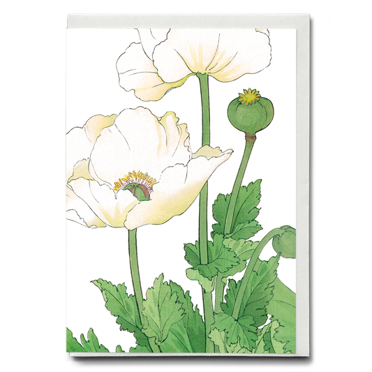White Poppies By Tanigami Kônan - Wenskaart
