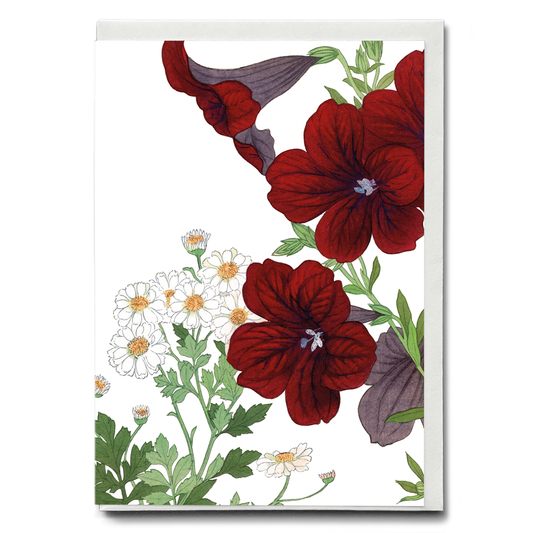 Matricaria & Salpiglossis By Tanigami Kônan - Wenskaart