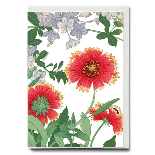 Blanket flower & Plumbago  By Tanigami Kônan - Wenskaart