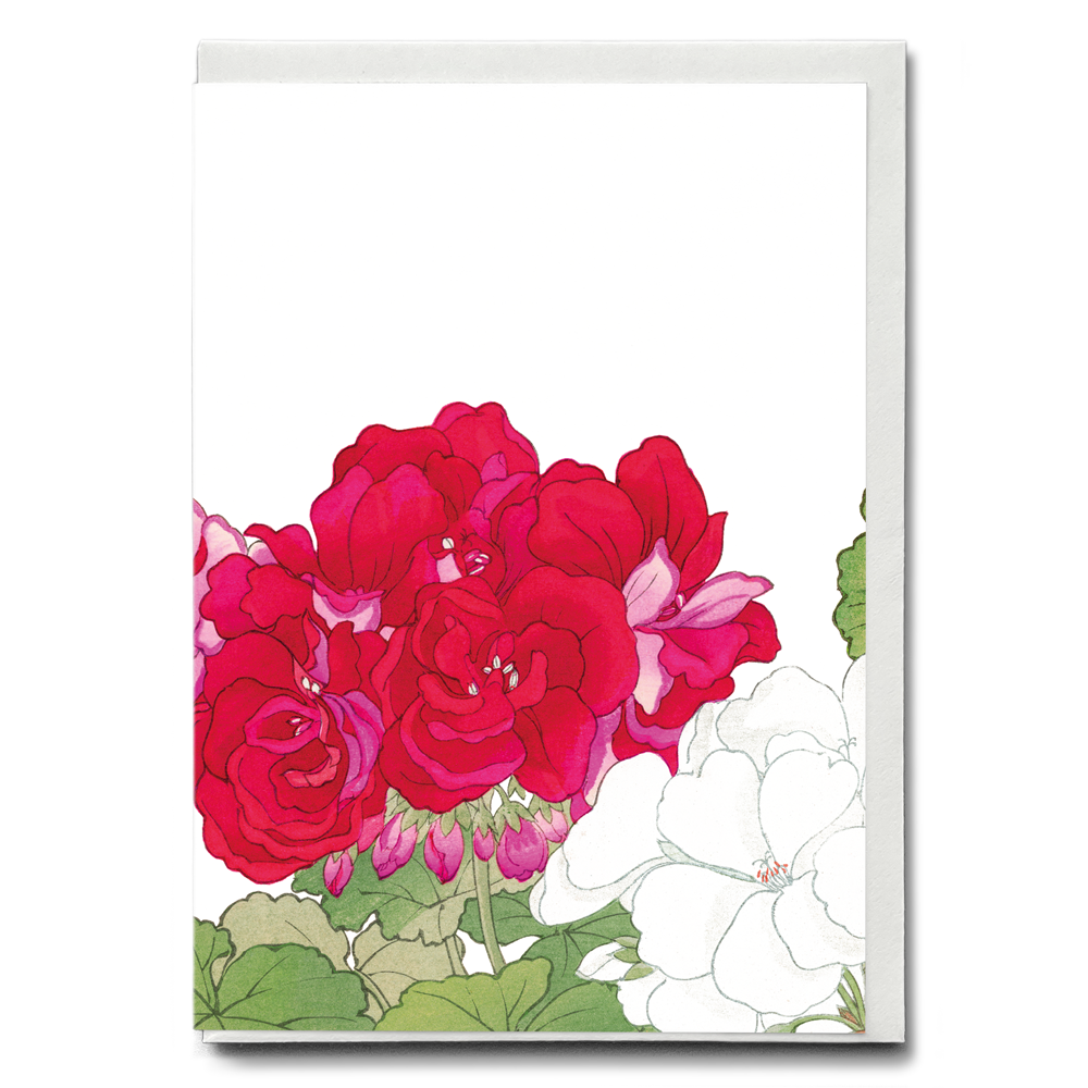 Geraniums By Tanigami Kônan - Wenskaart