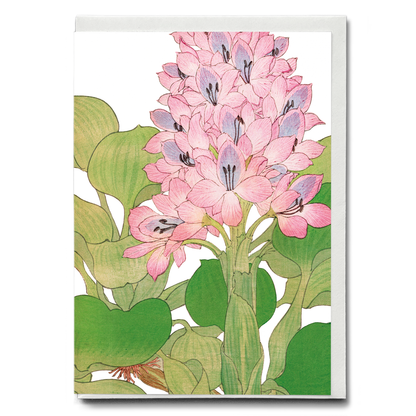 Water Hyacinth By Tanigami Kônan - Wenskaart