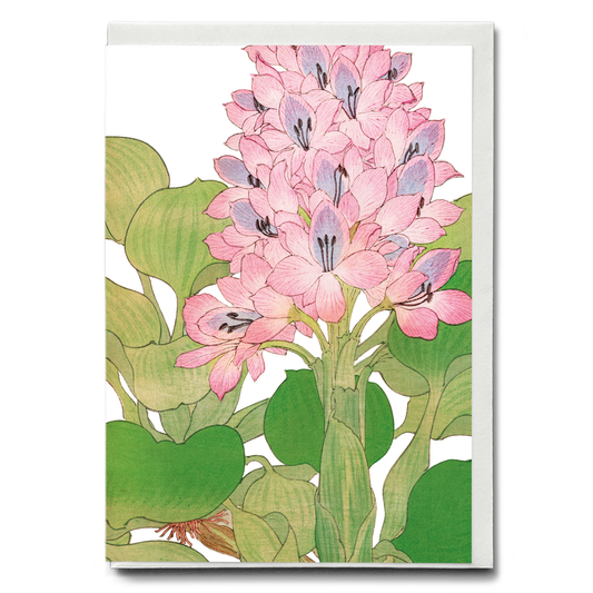 Water Hyacinth By Tanigami Kônan - Wenskaart