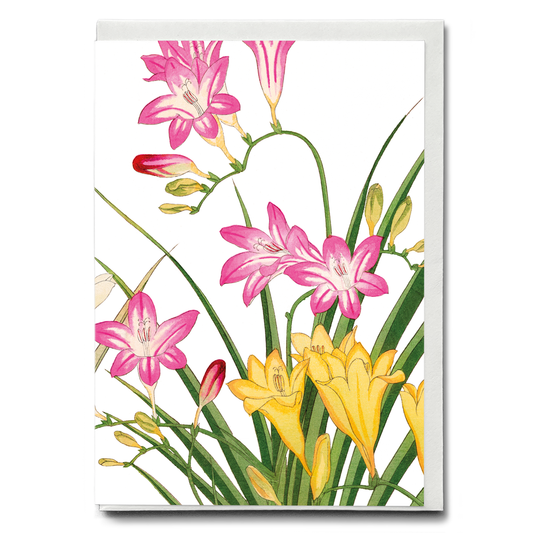 Freesia Flower By Tanigami Kônan - Wenskaart