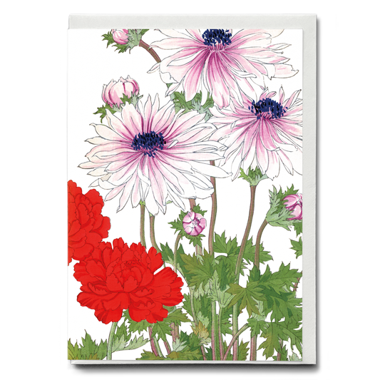 Anemone Flower By Tanigami Kônan - Wenskaart