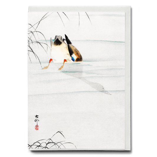 Mallard, the head under water By Ohara Koson - Greeting Card