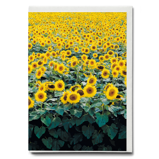 Sunflower Field Japanese Woodblock - Greeting Card