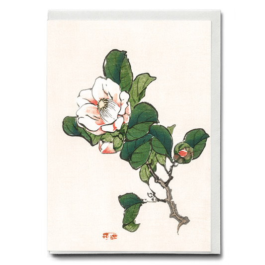 Camelia by Kōno Bairei  - Greeting Card