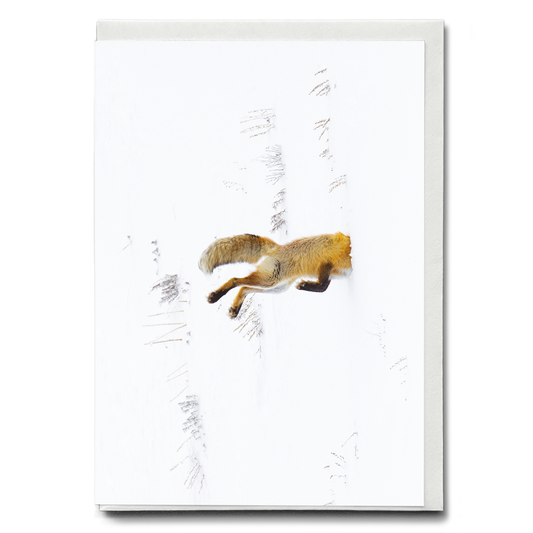Snow Dive - Greeting Card