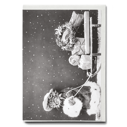 Santa Cat - Greeting Card
