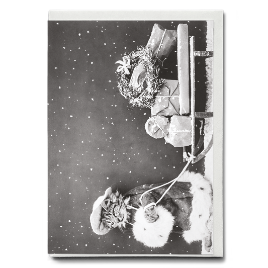 Santa Cat - Greeting Card