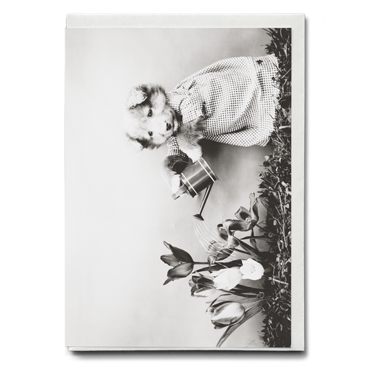 Dog watering plant - Greeting Card