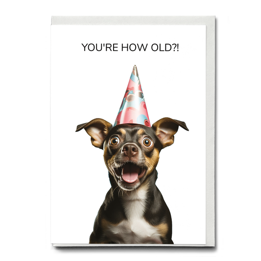 You're how old?! (Dog) - Greeting Card