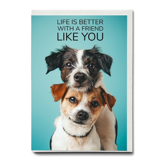 Friend like you - Greeting Card