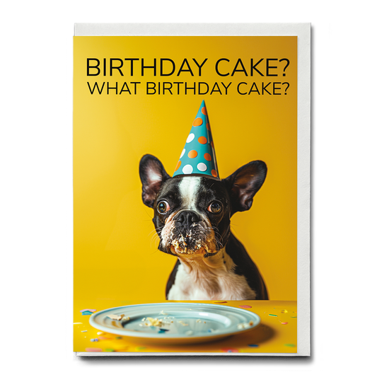 What birthday cake? (Dog) - Greeting Card