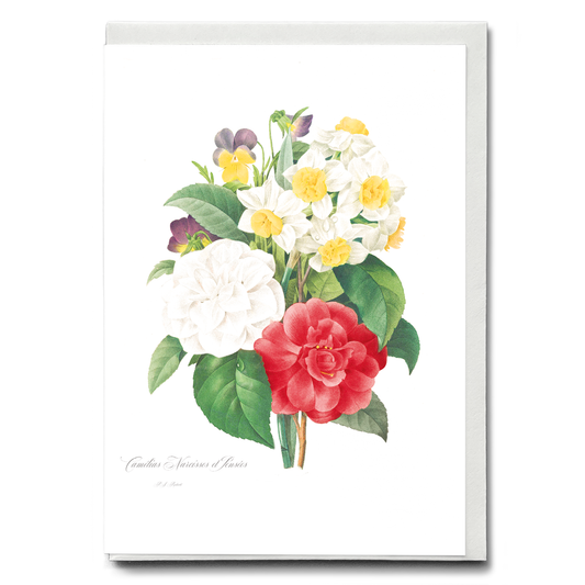 Camellia Narcissus and Pansy bouquet By Pierre-Joseph Redouté - Wenskaart