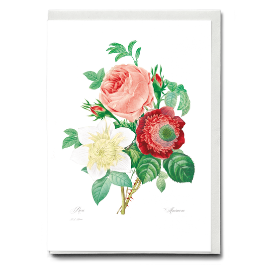 Anemone and cabbage rose By Pierre-Joseph Redouté - Wenskaart
